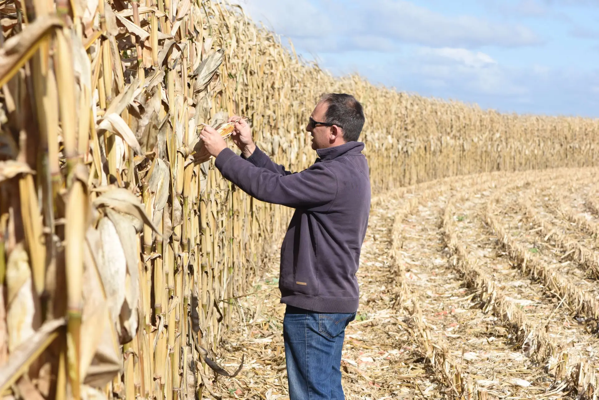 Read more about the article Pollen technology to enhance yields in Australian crops